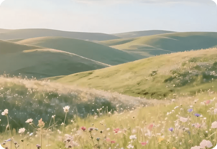 Rolling green hills with wildflowers