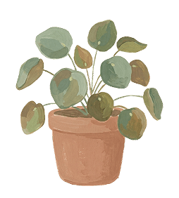 Potted plant